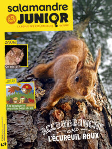 Accrobranche avec l'écureuil roux (n°138)