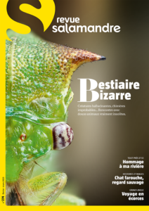 Bestiaire bizarre (n°274)
