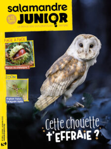 Cette chouette t'effraie ? (n°150)