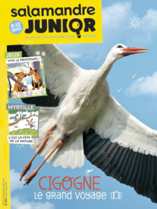 Cigogne, le grand voyage (n°105)