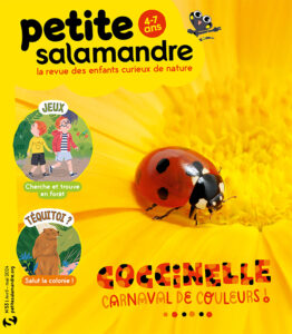 Coccinelle : carnaval de couleurs ! (n°53)