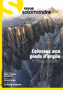 Colosses aux pieds d'argile (n°285)