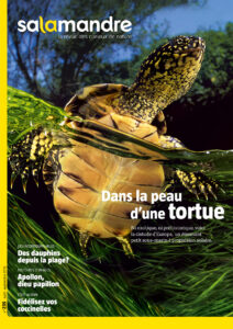 Dans la peau d'une tortue (n°235)