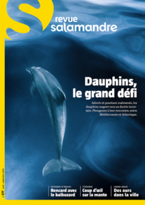 Dauphins, le grand défi (n°277)