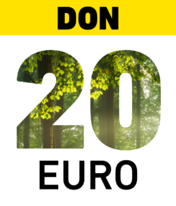 Don de 20,00 EUR à la Salamandre