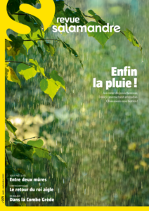 Enfin la pluie ! (n°271)