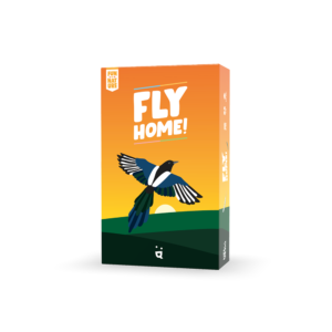 Fly home (Jeu)