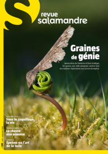 Graines de génie (n°283)