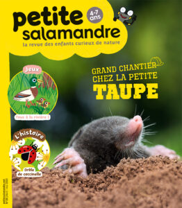 Grand chantier chez la petite taupe (n° 23)