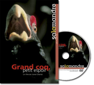 Grand coq, petit espoir (DVD)