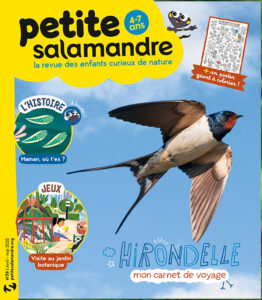 Hirondelle mon carnet de voyage (n°59)