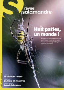 Huit pattes, un monde ! (n°272)