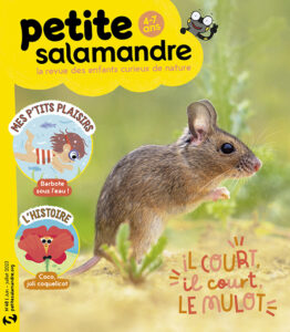 Il court, il court, le mulot (n°48)