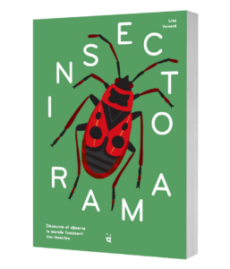 Insectorama
