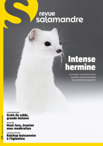 Intense hermine (n°273)