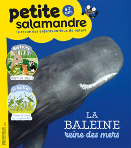 La baleine, reine des mers (n° 19)