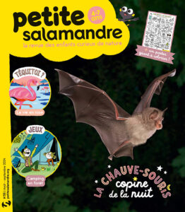 La chauve-souris, copine de la nuit (n°55)