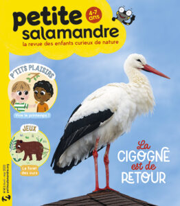 La cigogne est de retour (n° 41)