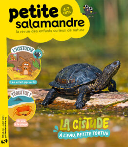 La cistude : à l'eau, petite tortue ! (n°54)