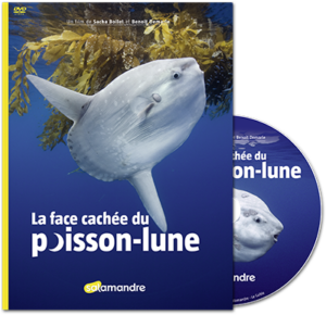 La face cachée du poisson-lune (DVD)