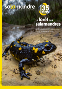 La forêt des salamandres (n°248)