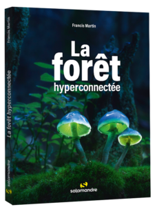 La forêt hyperconnectée