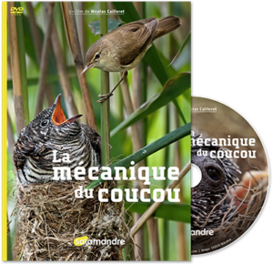 La mécanique du coucou (DVD)