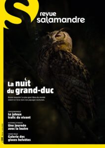 La nuit du grand-duc (n°280)