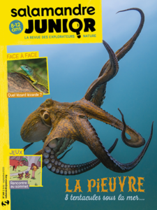 La pieuvre, 8 tentacules sous la mer… (n°149)