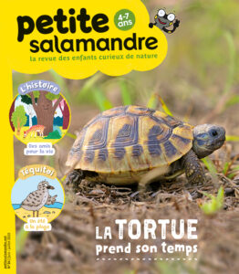 La tortue prend son temps (n° 24)