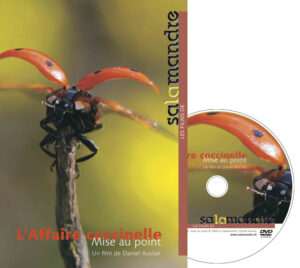 L'affaire Coccinelle (DVD)