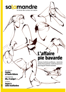L'affaire pie bavarde (n°243)