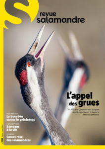 L'appel des grues (n°286)