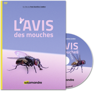 L'avis des mouches (DVD)