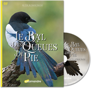 Le bal des queues de pie (DVD)