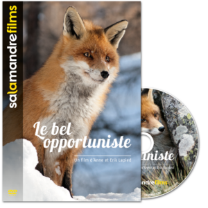 Le bel opportuniste (DVD)