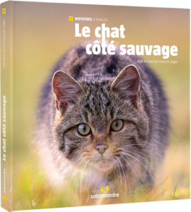 Le chat côté sauvage