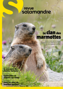 Le clan des marmottes (n°282)