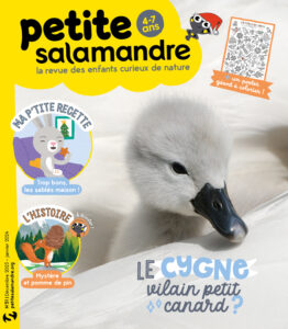 Le cygne, vilain petit canard ? (n°51)