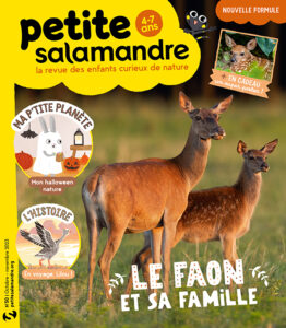 Le faon et sa famille (n°50)