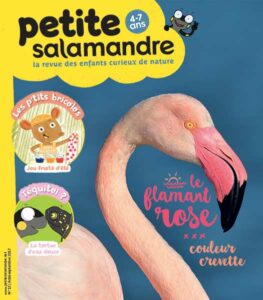 Le flamant rose, couleur crevette (n°13)