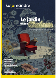 Le jardin fait son cinéma (n°244)