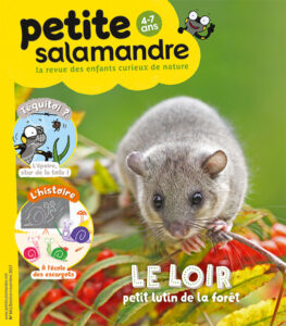 Le loir, petit lutin de la forêt (n°14)