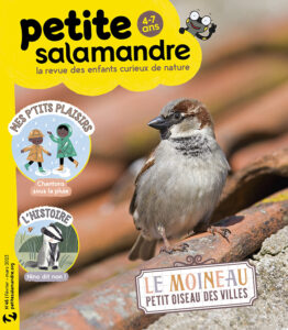 Le moineau, petit oiseau des villes (n°46)