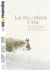 Le mystère lynx (n°213)