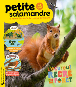 L'écureuil, récré en forêt (n°52)