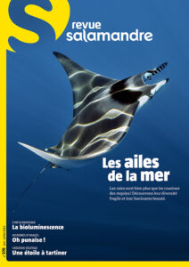 Les ailes de la mer (n°270)