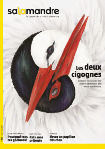 Les deux cigognes (n°233)