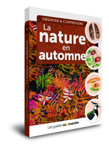 Les guides Salamandre La nature en automne