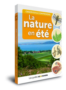 Les guides Salamandre La nature en été
